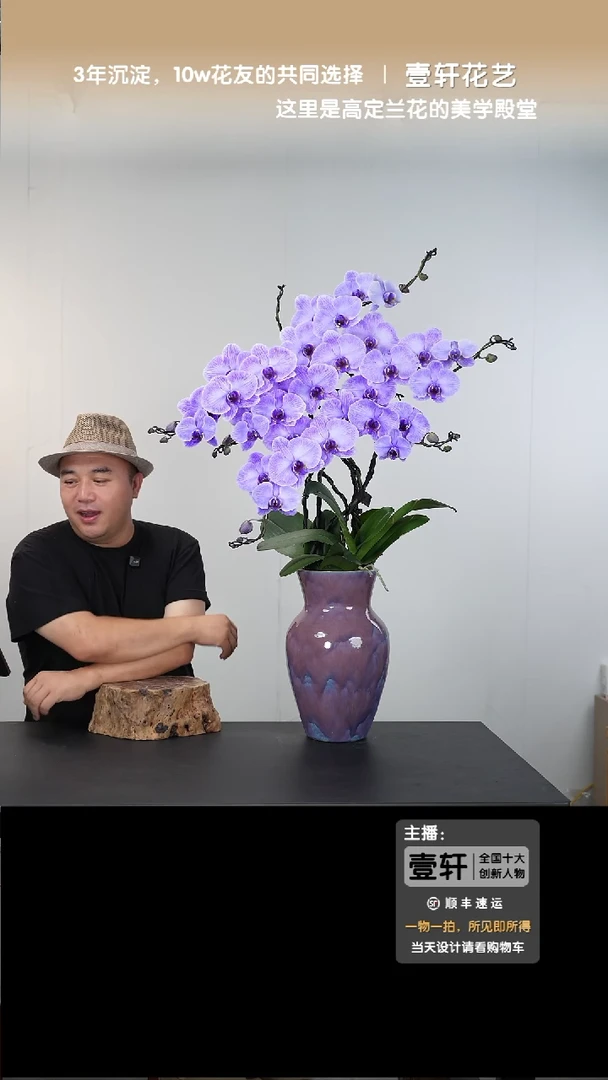 全部花朵008号链接【一物一拍】