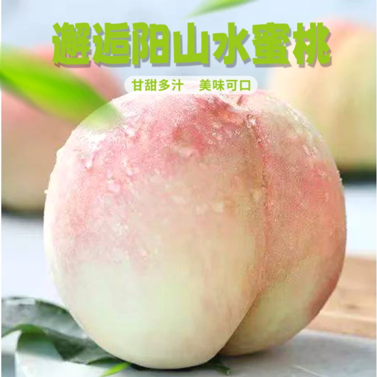 【正宗无锡阳山水蜜桃H】6-5两8颗皮薄爆汁应季新鲜水果桃子812江苏省
