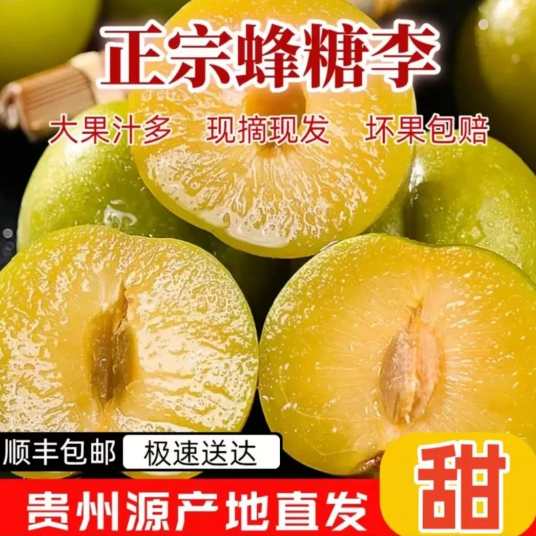 【次日达】六马蜂糖李子新鲜采摘脆甜多汁当季水果纯甜产地直发贵州省贵州省