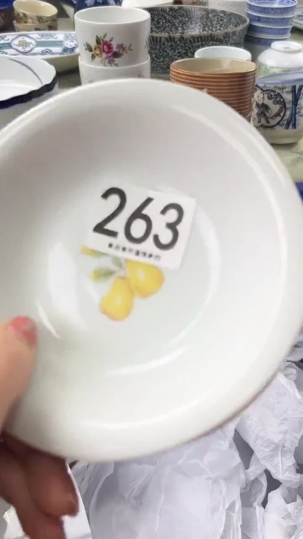 肥*263