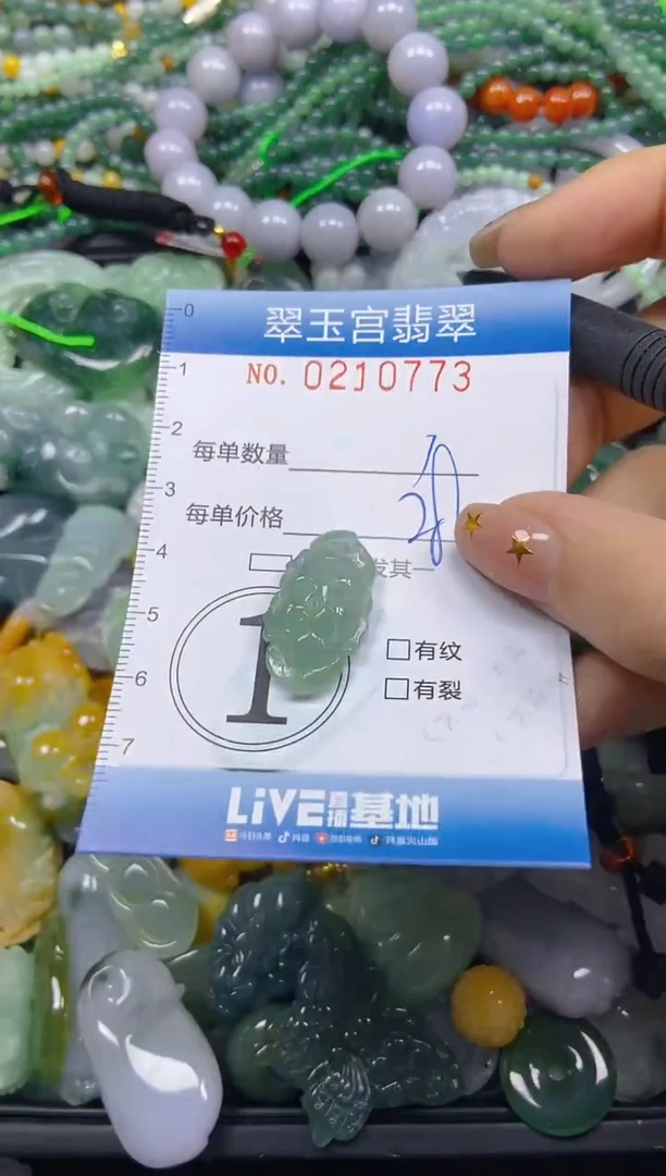 颈饰未镶嵌翡翠闪购C0210773
