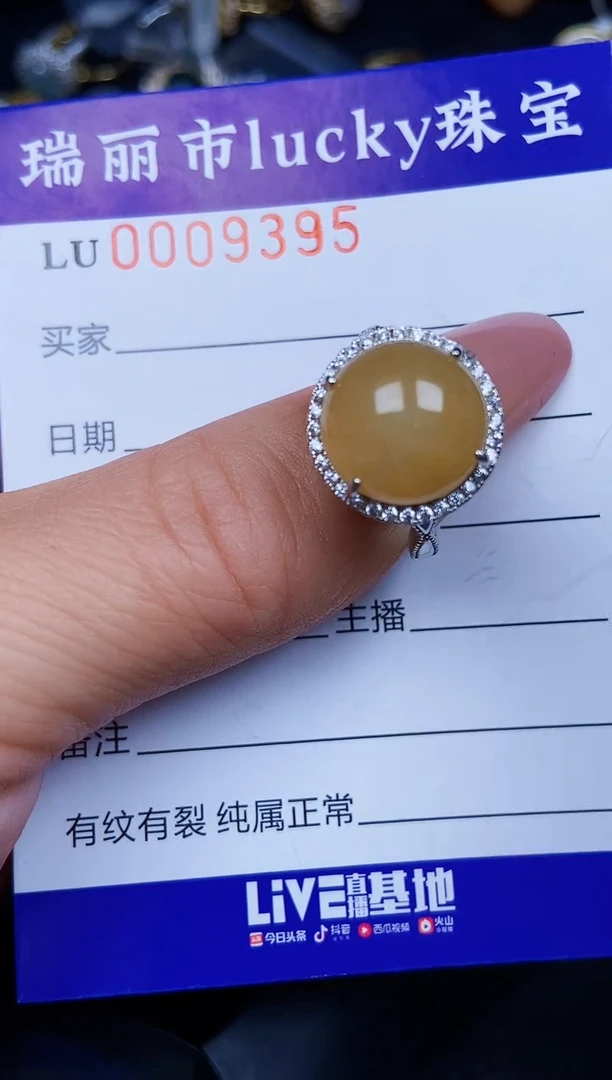 翡翠银S925镶嵌颈饰9395