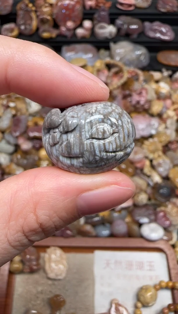 颈饰未镶嵌硅化珊瑚（珊瑚玉）610