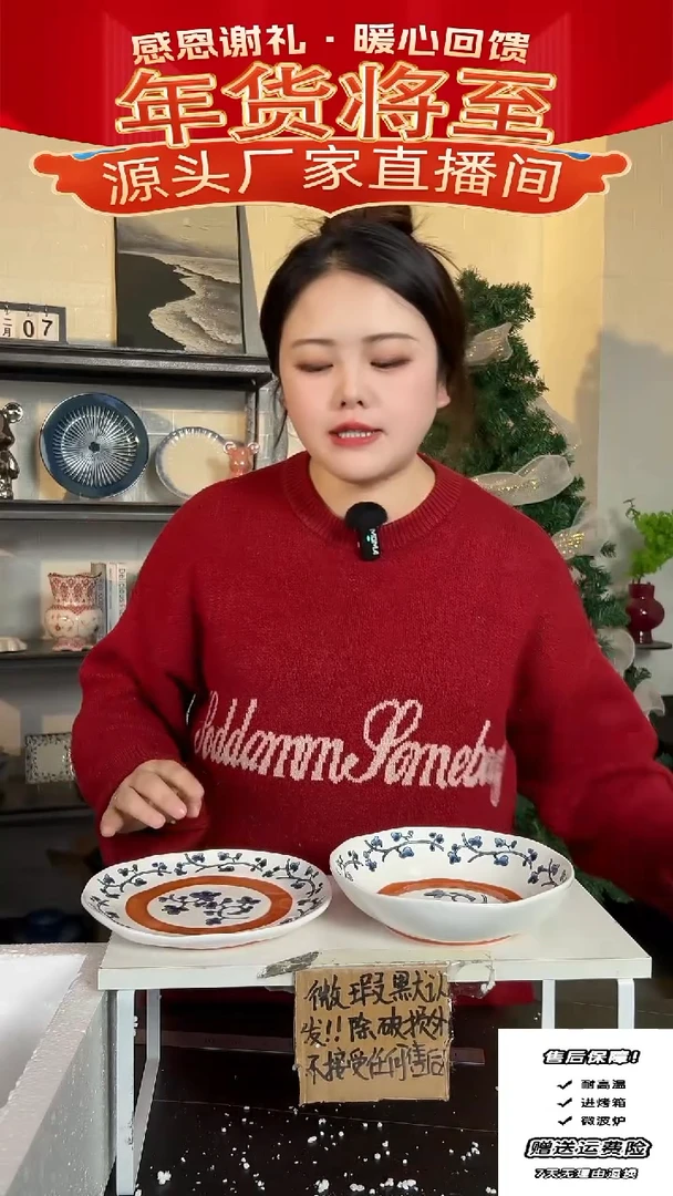 【闪购商品】瓷濑户烧-盘子2件套