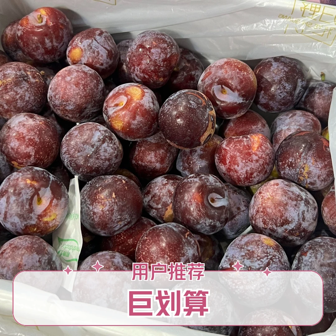 蜜诺娃冰糖李（约500）