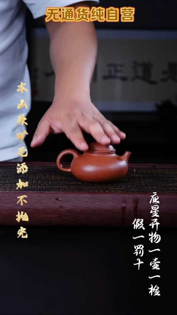 茶壶紫砂宝山红降坡 容天 170cc