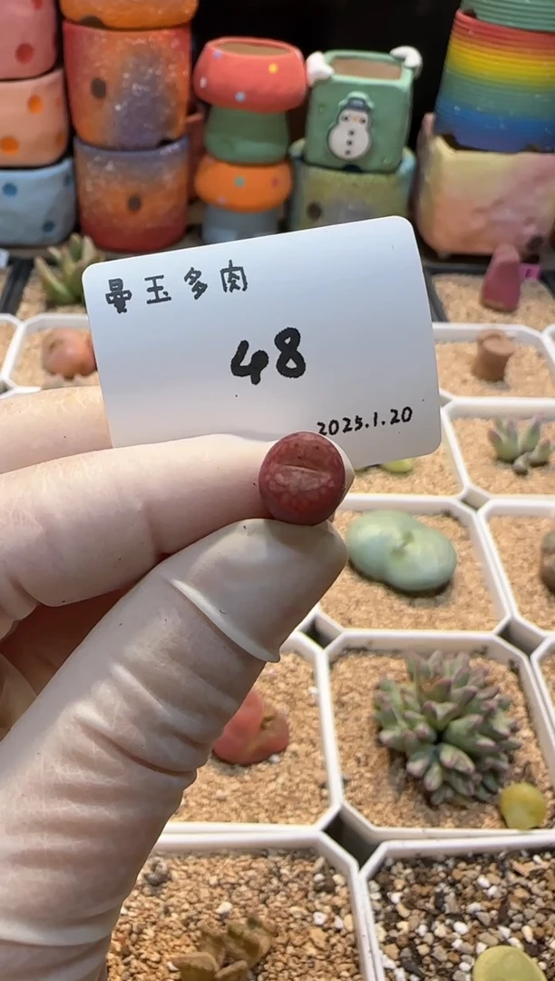 【闪购商品】25.1.20-48