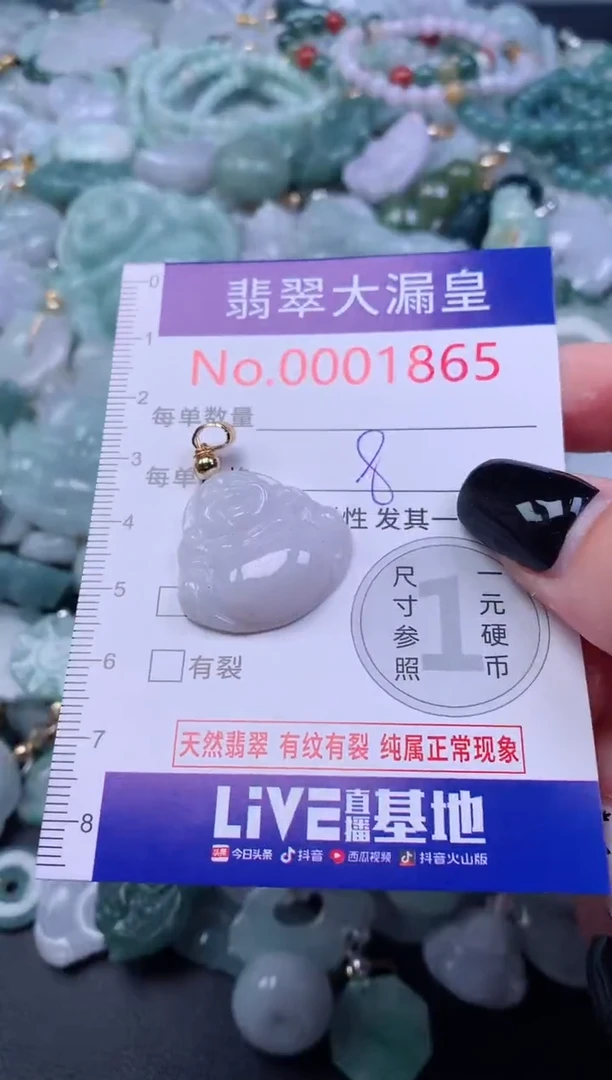颈饰未镶嵌翡翠1865
