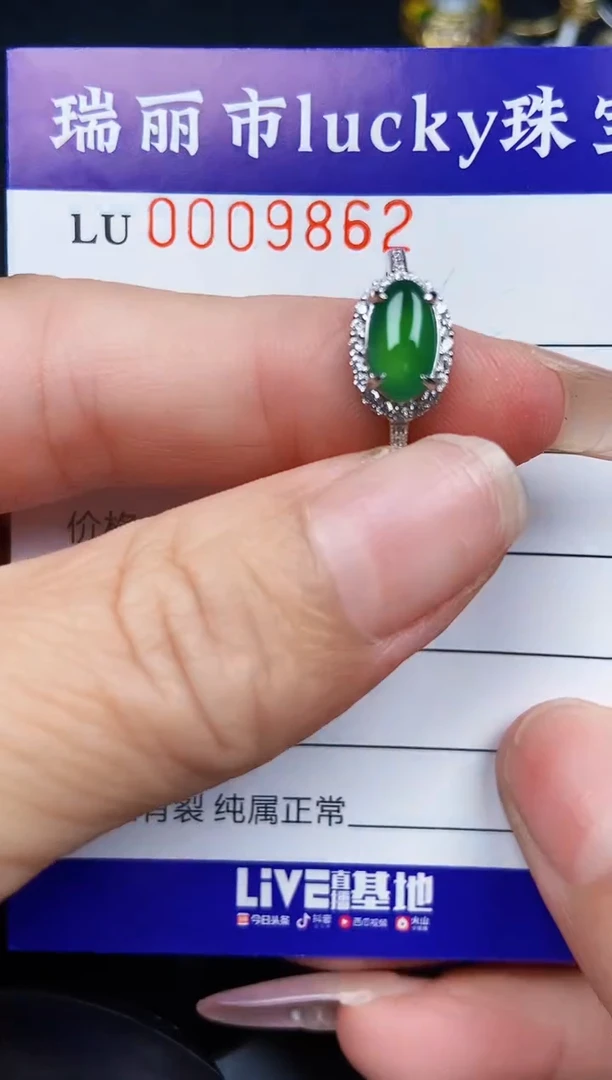 翡翠银S925镶嵌颈饰9862