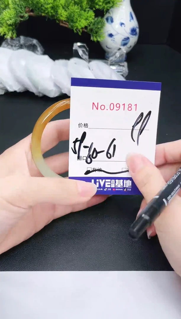 未镶嵌手镯翡翠9181