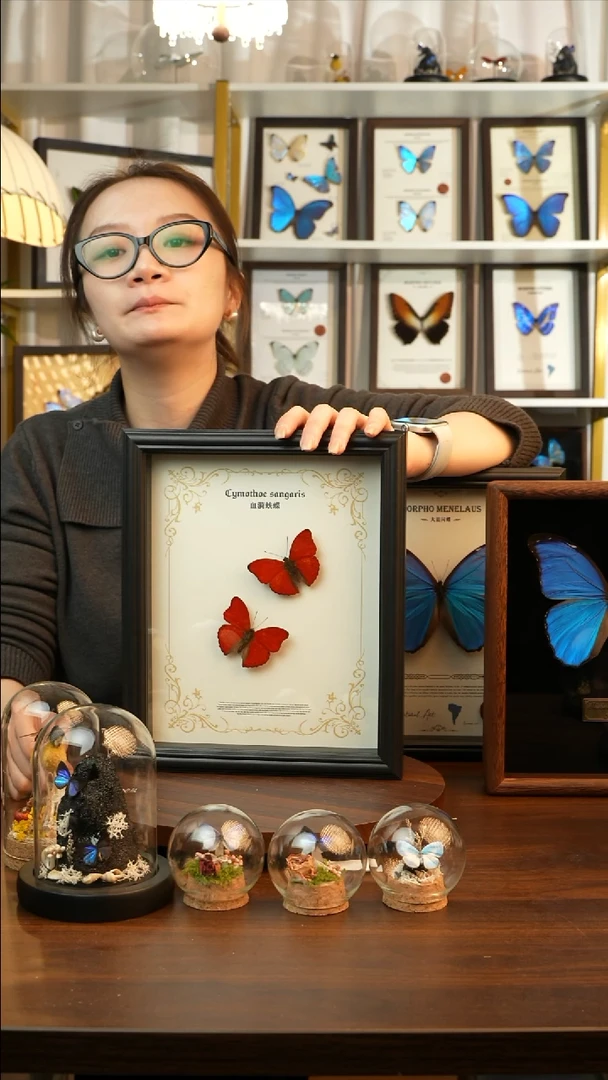 血漪双碟鸡翅木定制黑底