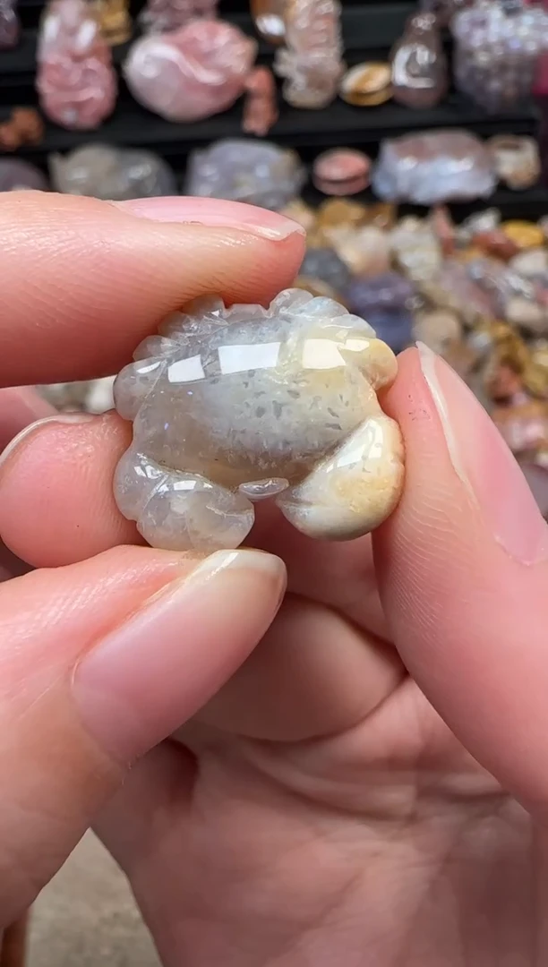 颈饰未镶嵌硅化珊瑚（珊瑚玉）347