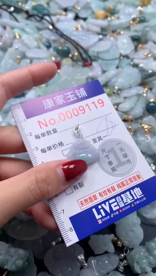 颈饰未镶嵌翡翠9119