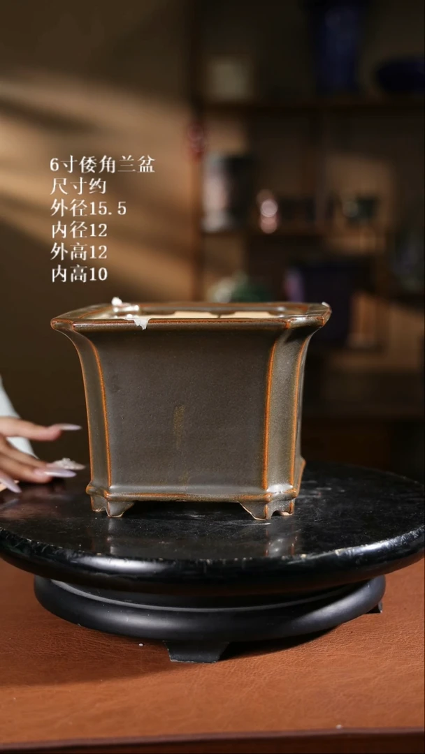 【限时买三免一活动】6寸倭角兰盆随机发货