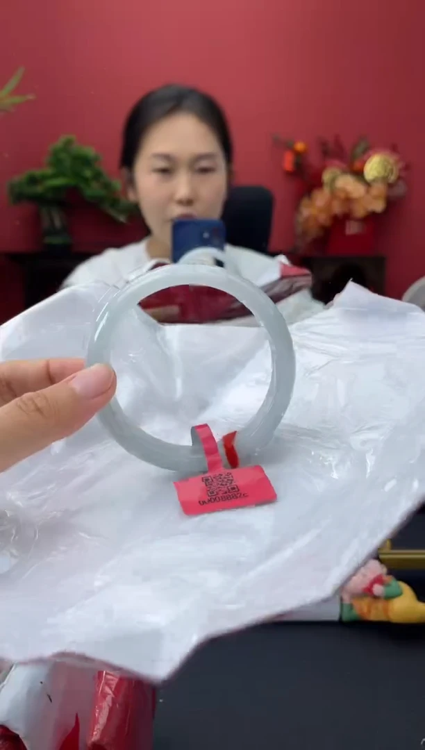 未镶嵌手镯翡翠7