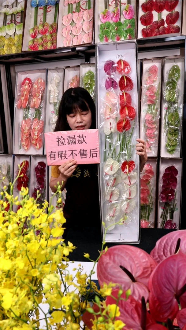 105混色迷你掌20支(15-20cm，横冠幅6cm)微瑕无售后慎拍！