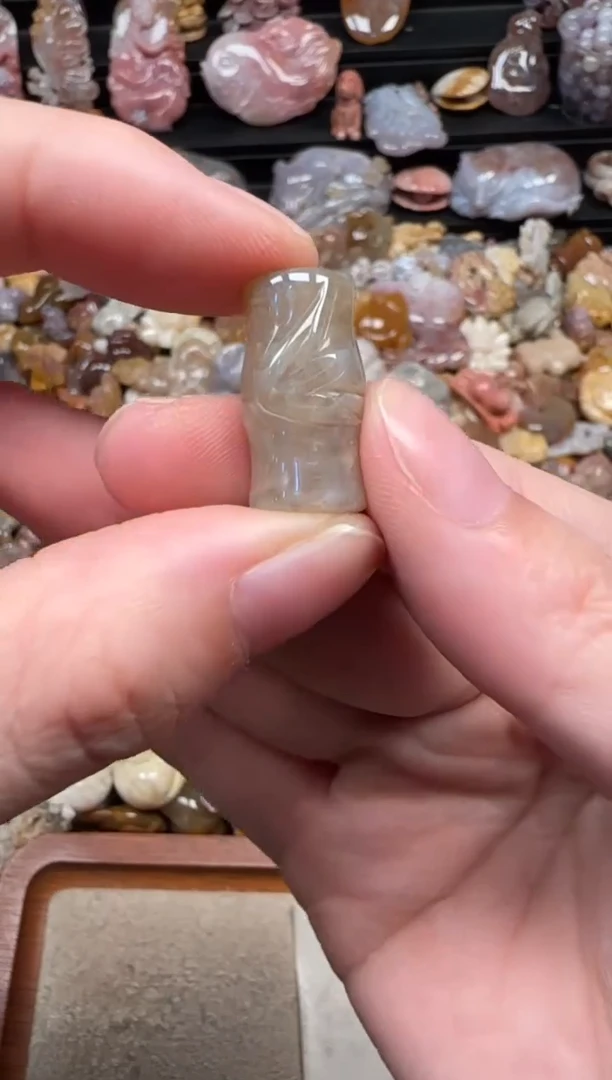 颈饰未镶嵌硅化珊瑚（珊瑚玉）552