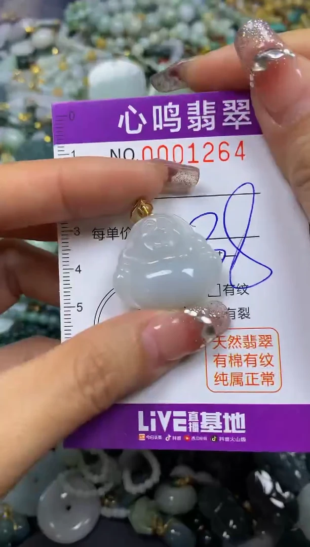 【闪购商品】翡翠颈饰未镶嵌闪购001264