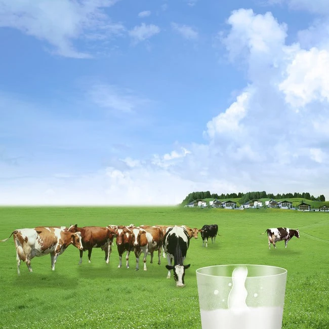 【好品】900g 小宝贝成长配方