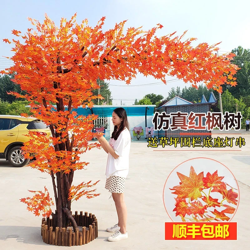 真红枫树枫叶树榕树造型树大型景观树室内装饰加密商场楼盘装饰