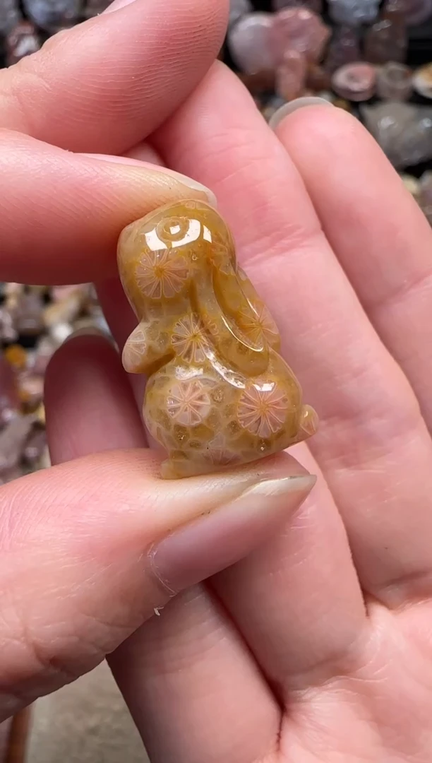 颈饰未镶嵌硅化珊瑚（珊瑚玉）672