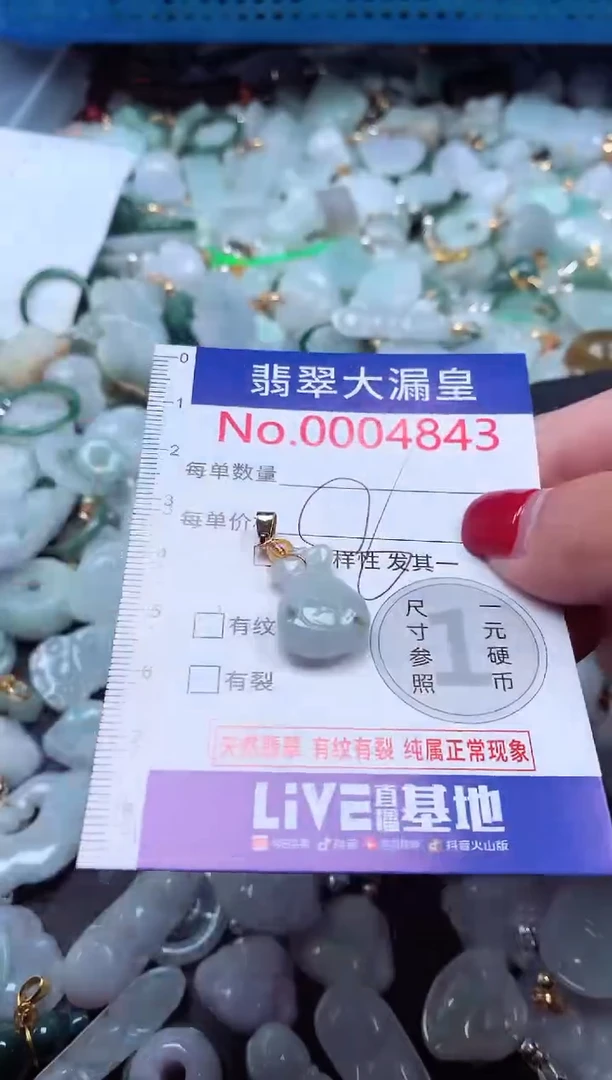 颈饰未镶嵌翡翠4843