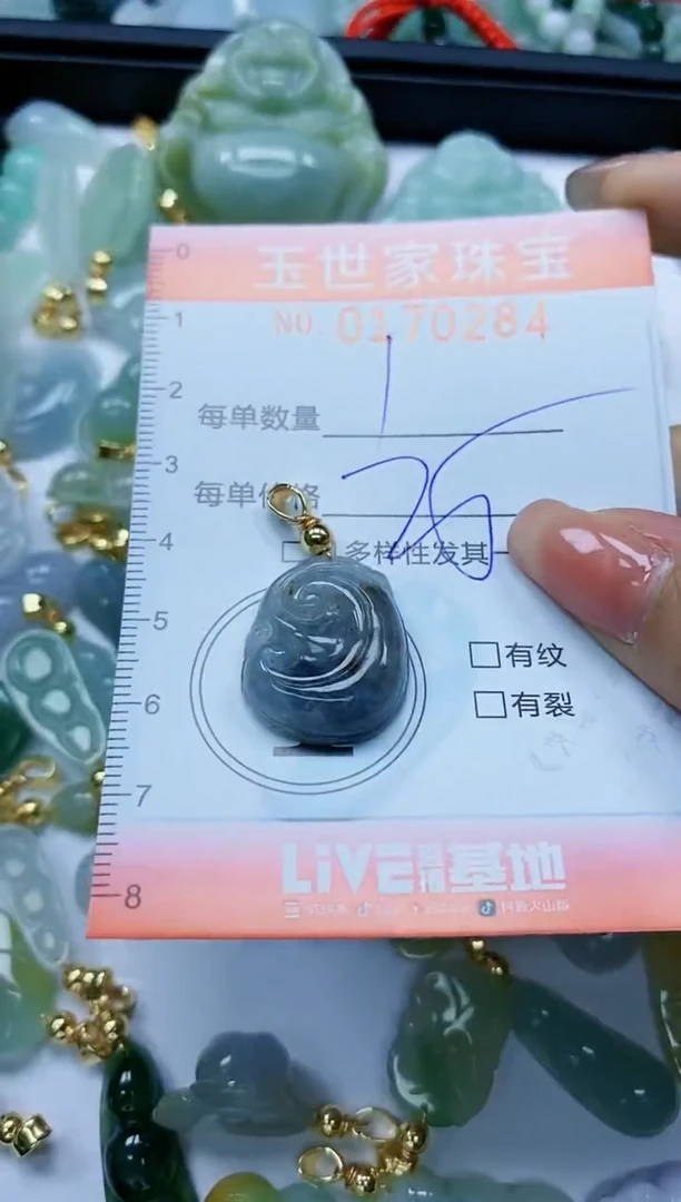 【闪购商品】翡翠颈饰未镶嵌闪购0170284