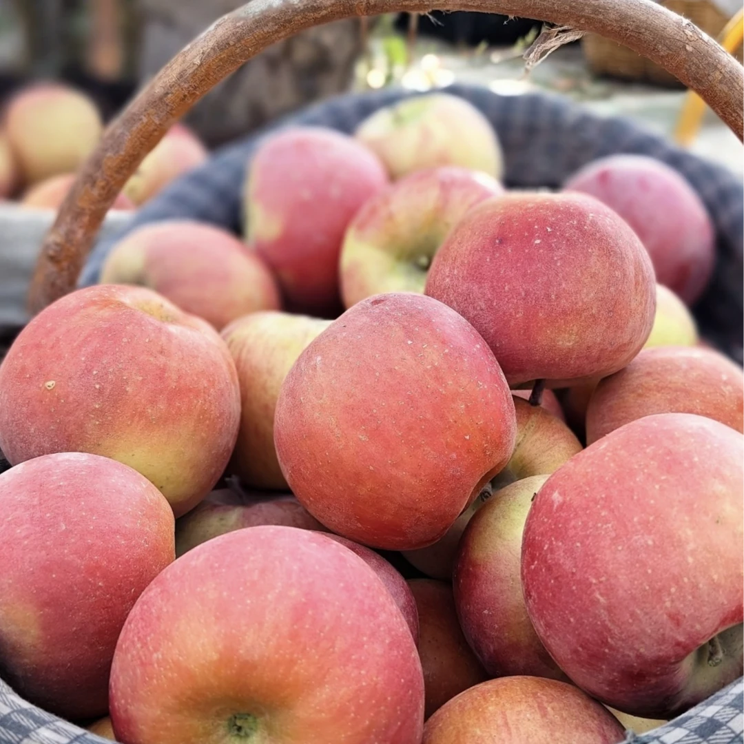 【新疆阿克苏苹果】买5斤送5斤正宗阿克苏冰糖心苹果9-10带箱