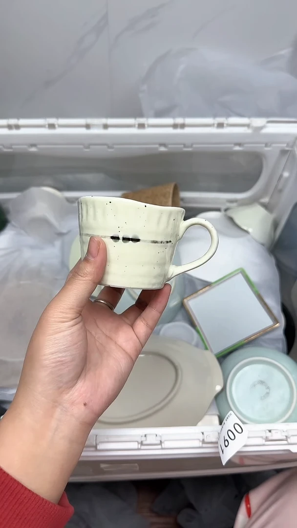 【闪购商品】638回流瓷器默认微瑕，18.8包邮