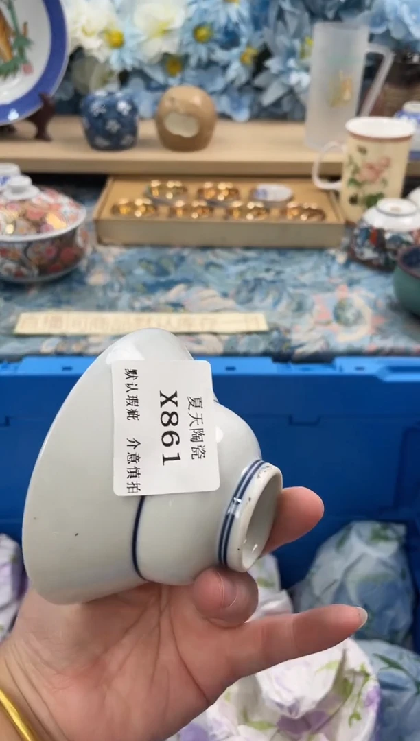 瓷片鴻**艳X861默认微瑕闪购默认库存一件