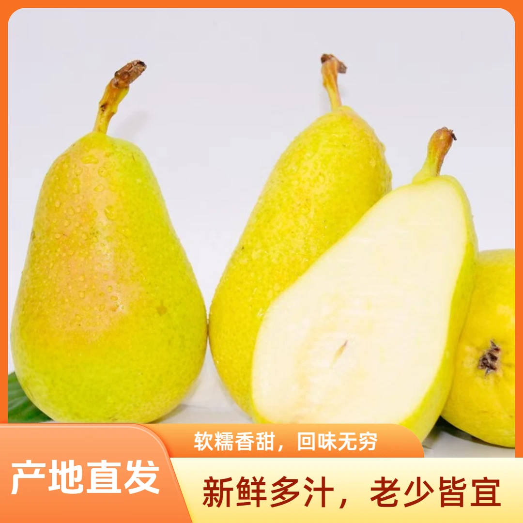 甘肃天水香蕉梨太婆梨新鲜当季水果香甜软糯多汁大头梨