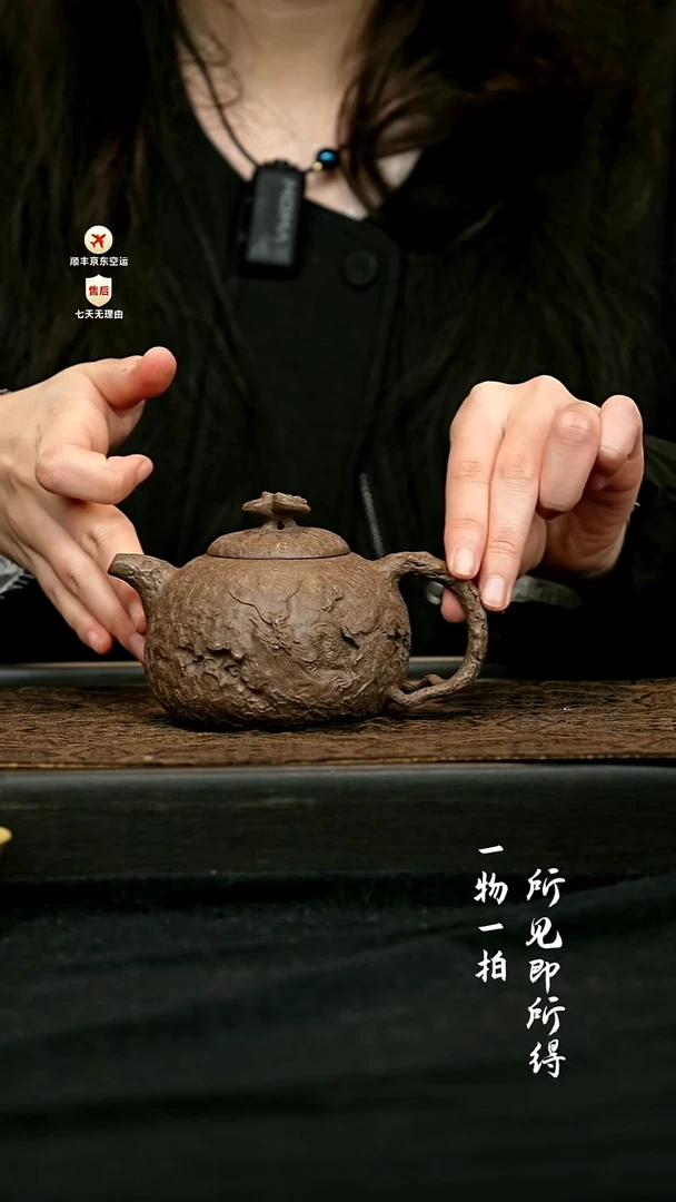 茶壶紫砂全手工隐龙供春壶210cc 一物见春