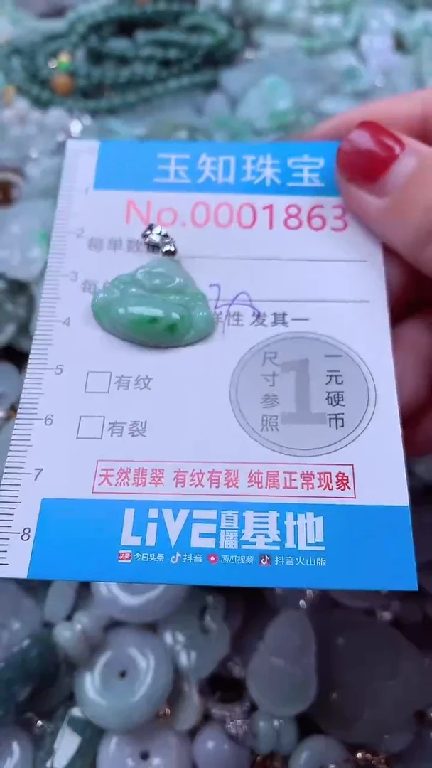 吊坠(不含链)未镶嵌翡翠1863