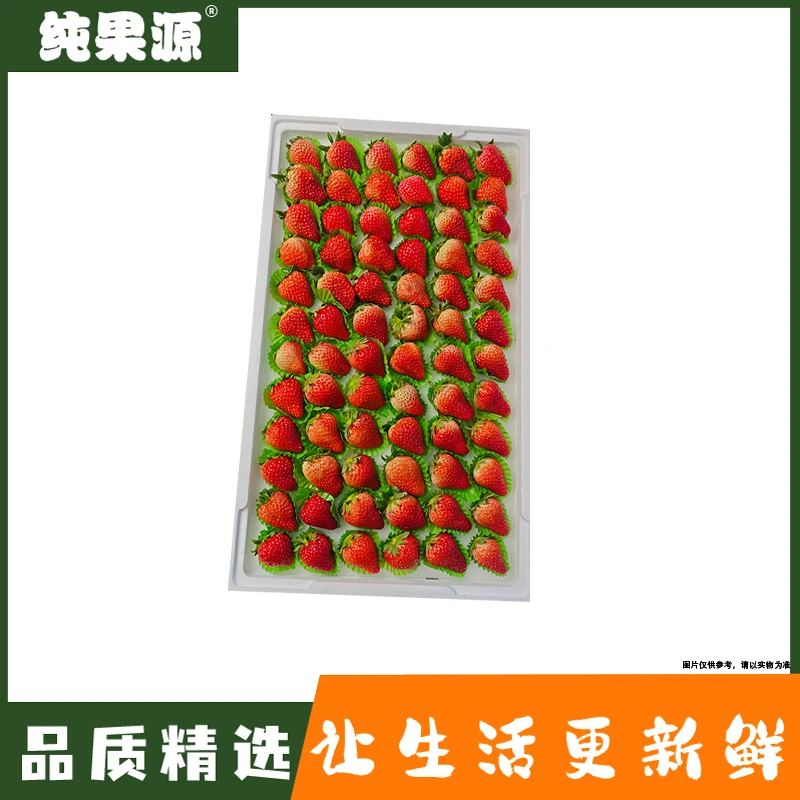 【纯果源小时达】丹东久久单板草莓（72粒）【整件装/毛重约3.5斤】