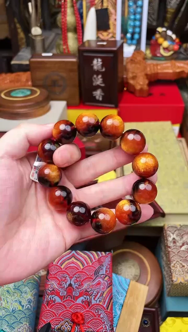 木---------------海柳2.0