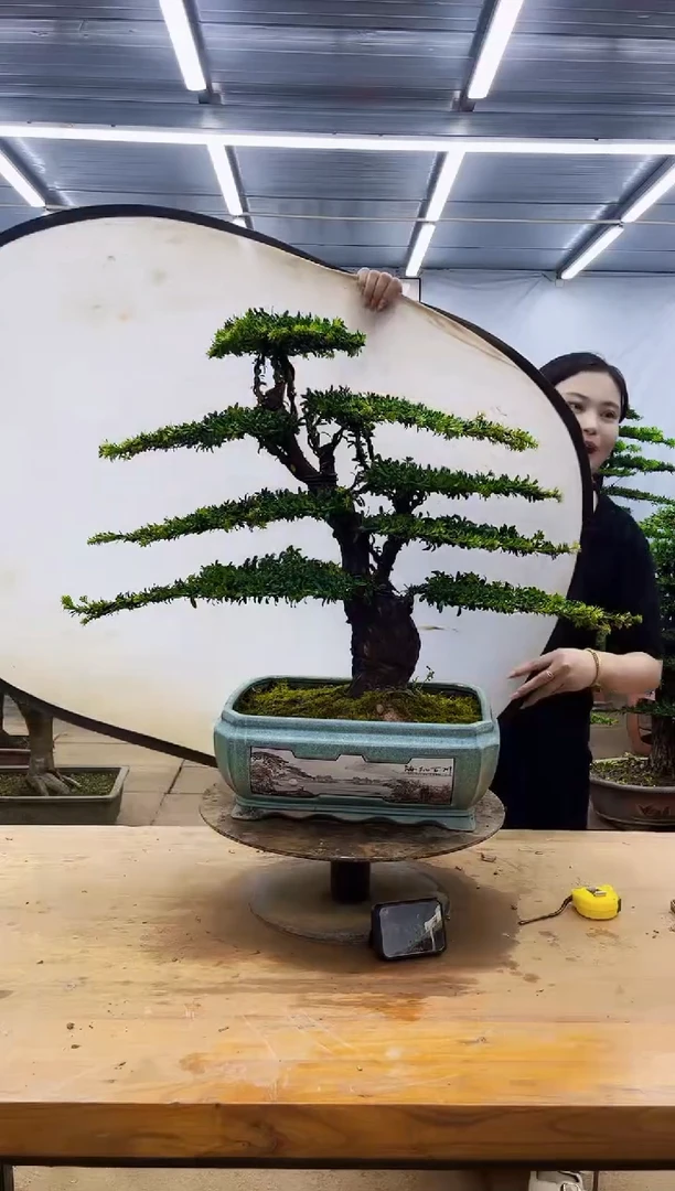 无花朵一物一拍，所见即所得