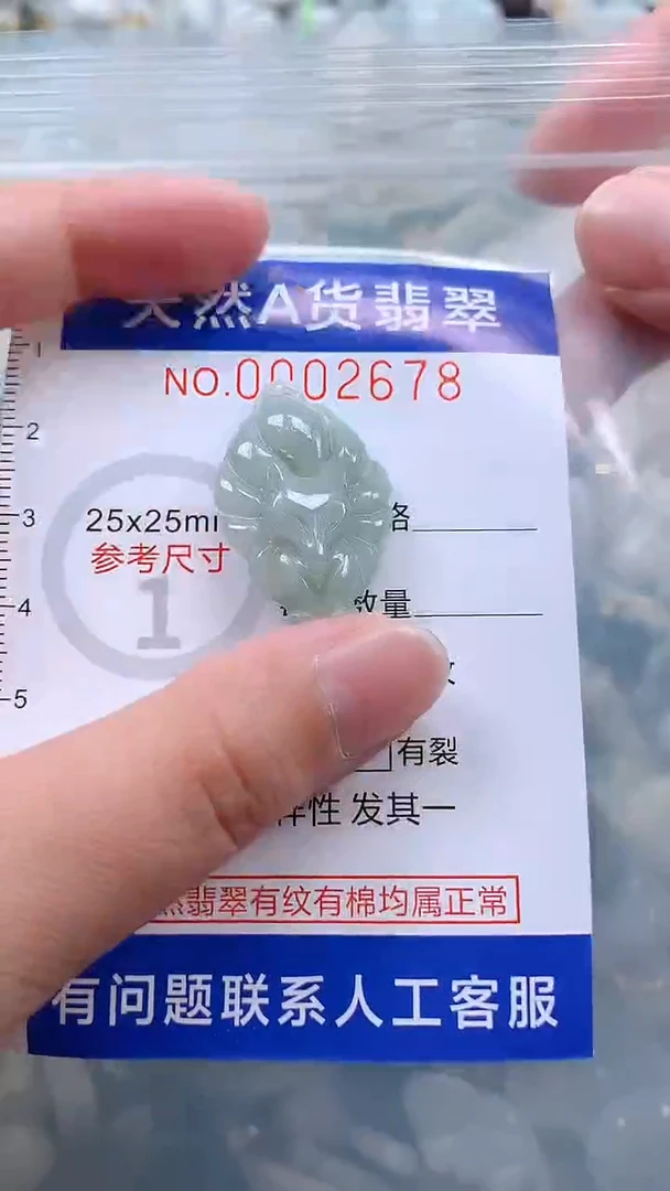 翡翠未镶嵌吊坠(不含链)1