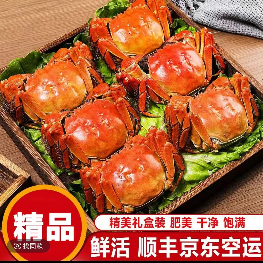 江苏鲜活母河蟹8只2.5两