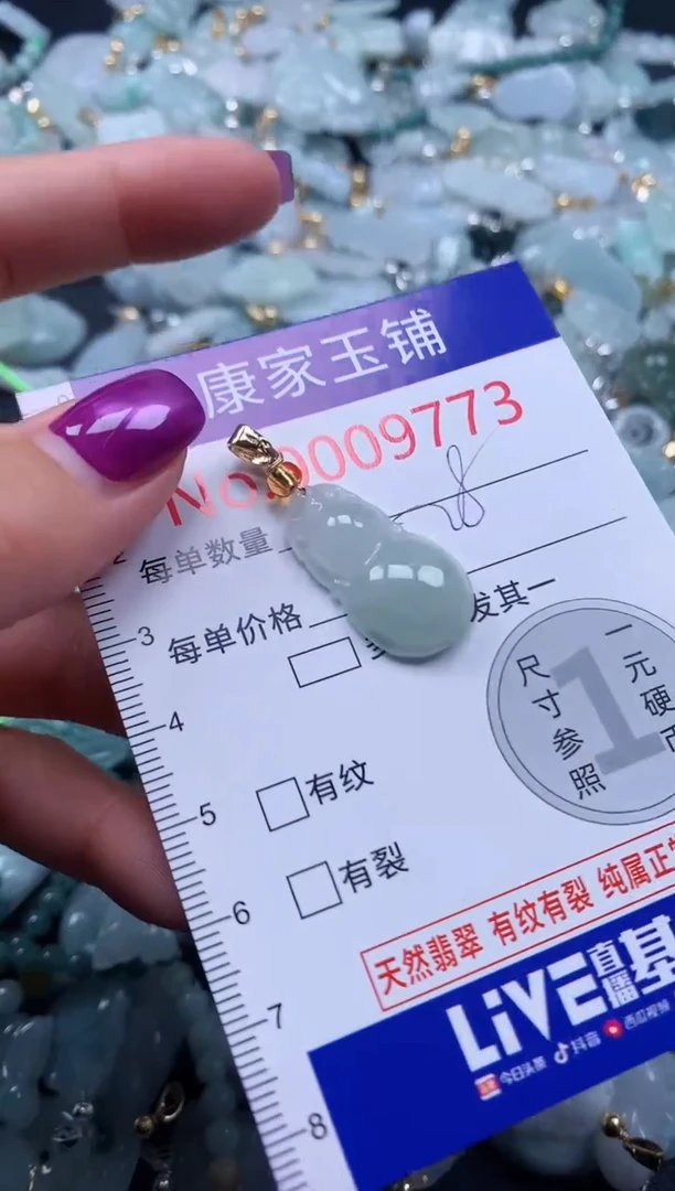 颈饰未镶嵌翡翠9773