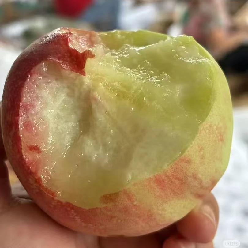 【脆甜多汁】青州蜜桃 肉厚多汁 果园直发  新鲜采摘 5斤