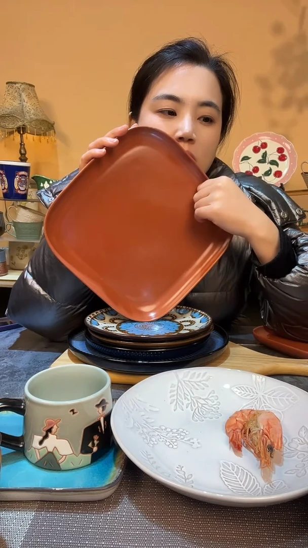 瓷片10.5英寸盘 微瑕介意勿拍