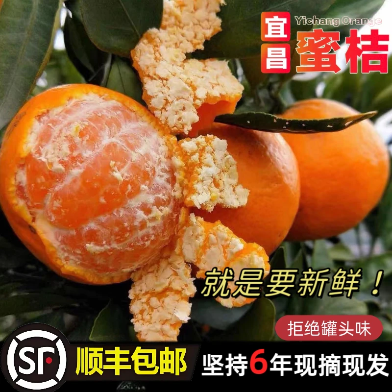 【顺丰上门】宜昌无籽蜜桔酸甜新鲜蜜橘爆汁5/9斤早熟柑橘子柑桔子