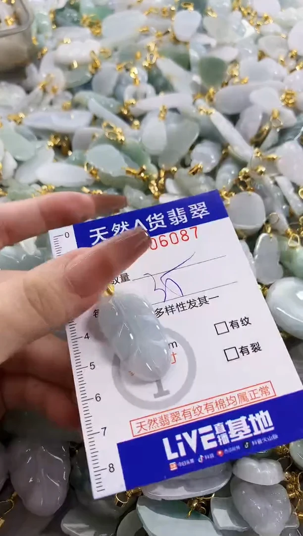 颈饰未镶嵌翡翠天然A货翡翠