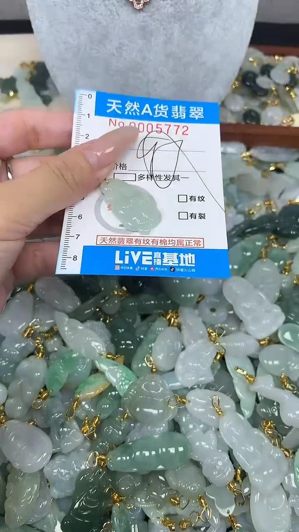 翡翠未镶嵌颈饰净货挂件-5772