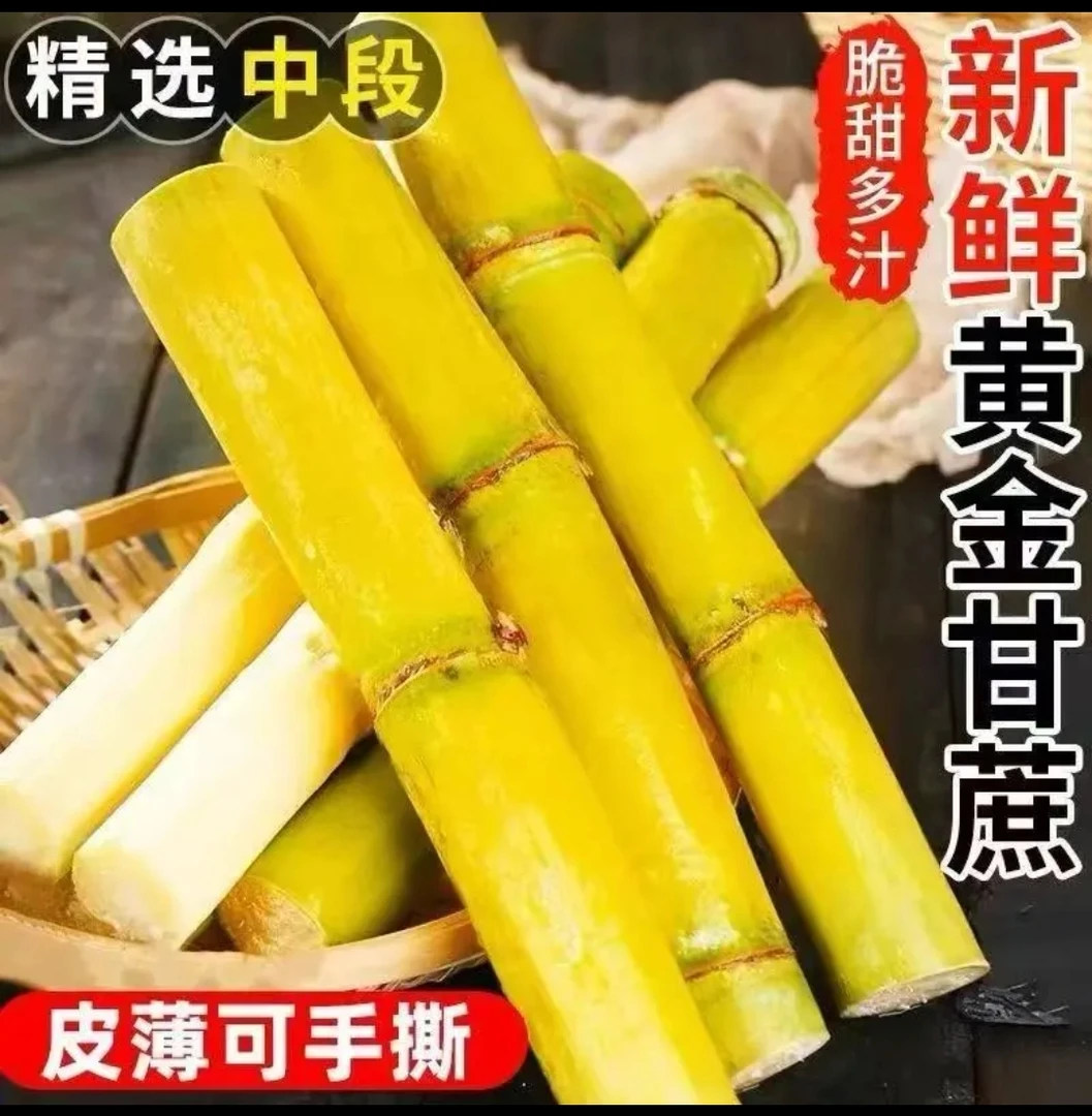 新鲜现砍云南应季甘蔗清甜多汁黄皮甘蔗产地直发