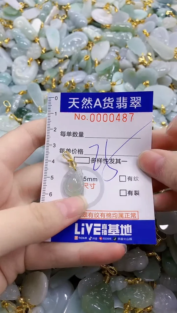 颈饰未镶嵌翡翠天然A货翡翠
