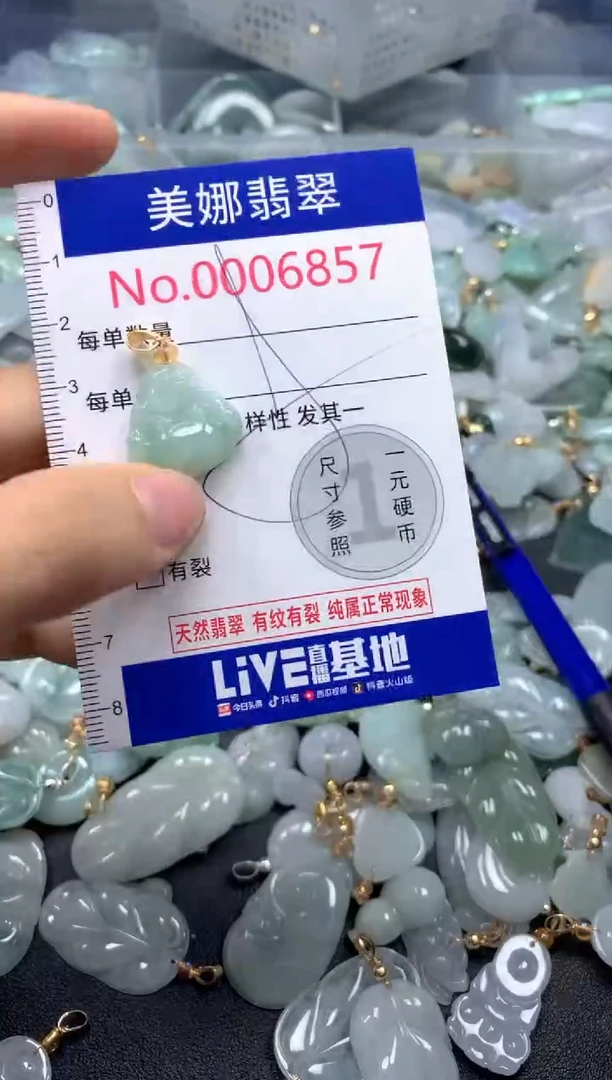 颈饰未镶嵌翡翠6857