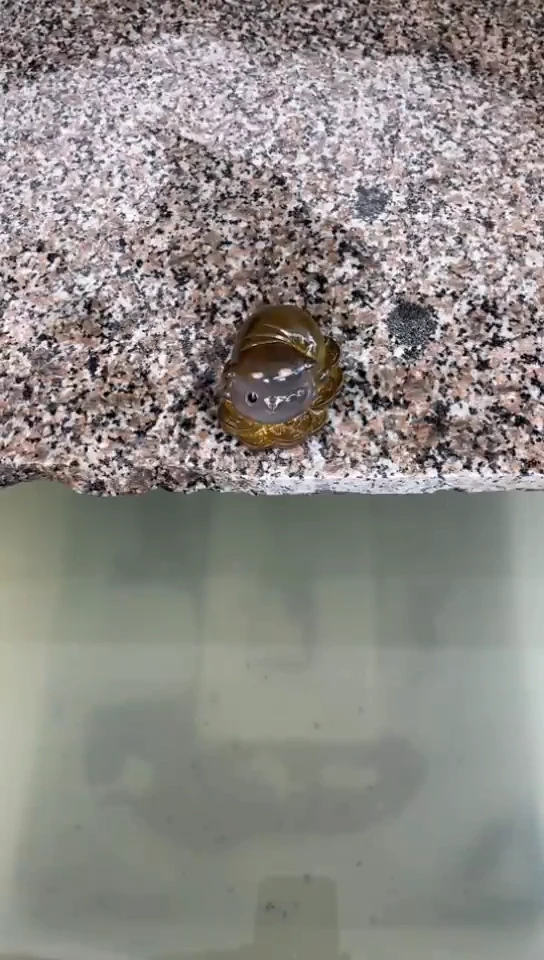 招财猫感温变色茶宠