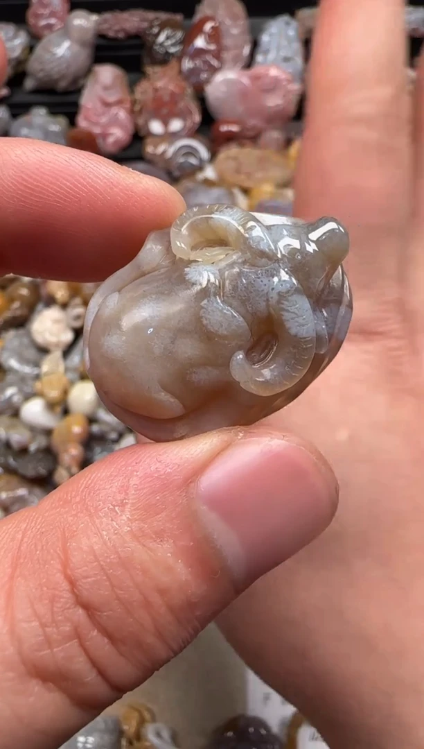 【闪购商品】硅化珊瑚（珊瑚玉）颈饰未镶嵌013