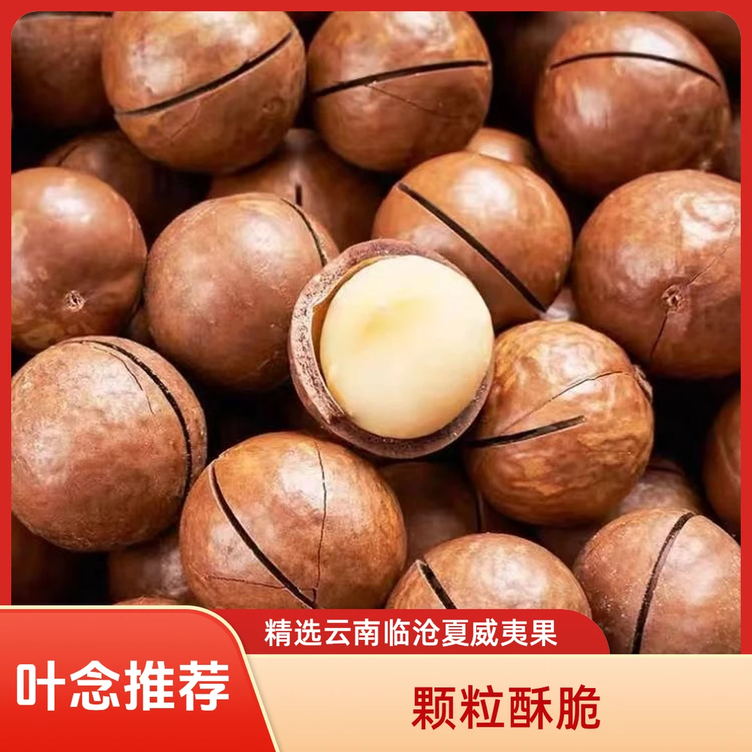 叶念推荐夏威夷果袋装干货夏威夷营养坚果仁奶香味干果新货零食